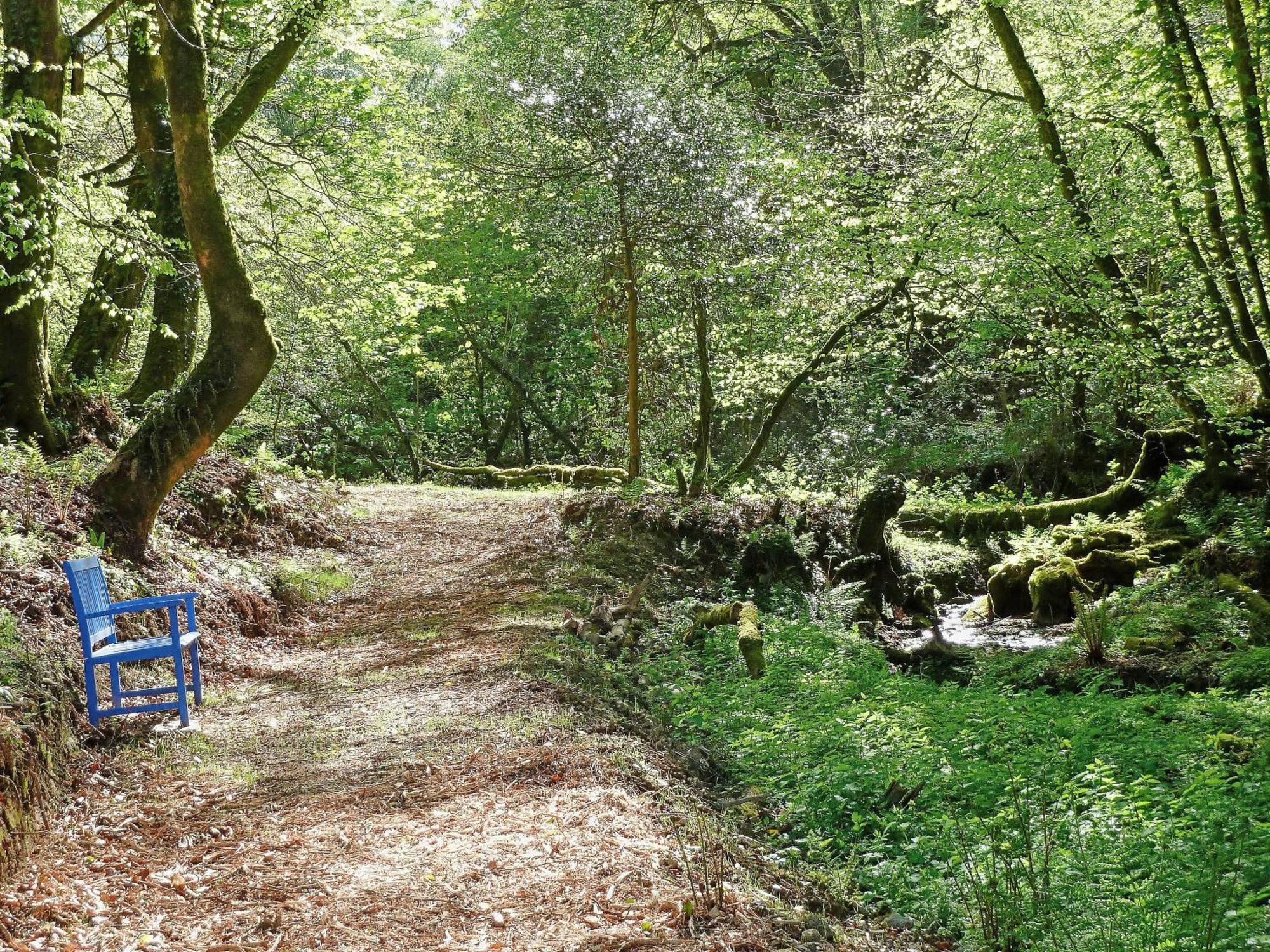 Blaenfforest Granary Newcastle Emlyn Villa Capel-Ifan Exterior photo